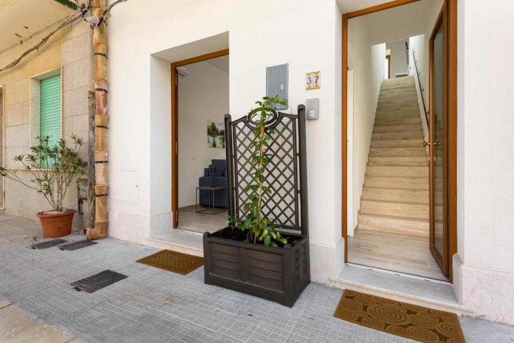Bedda Luna Apartments San Vito Lo Capo Exteriör bild